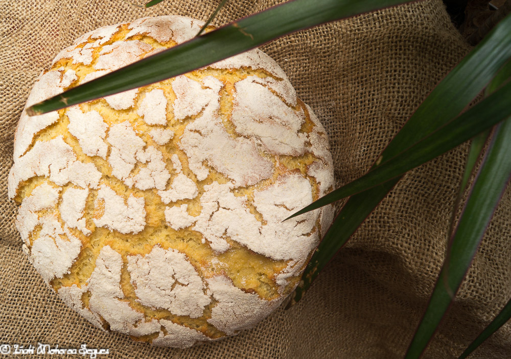 Broa de milho (Pan de maíz) Thermomix